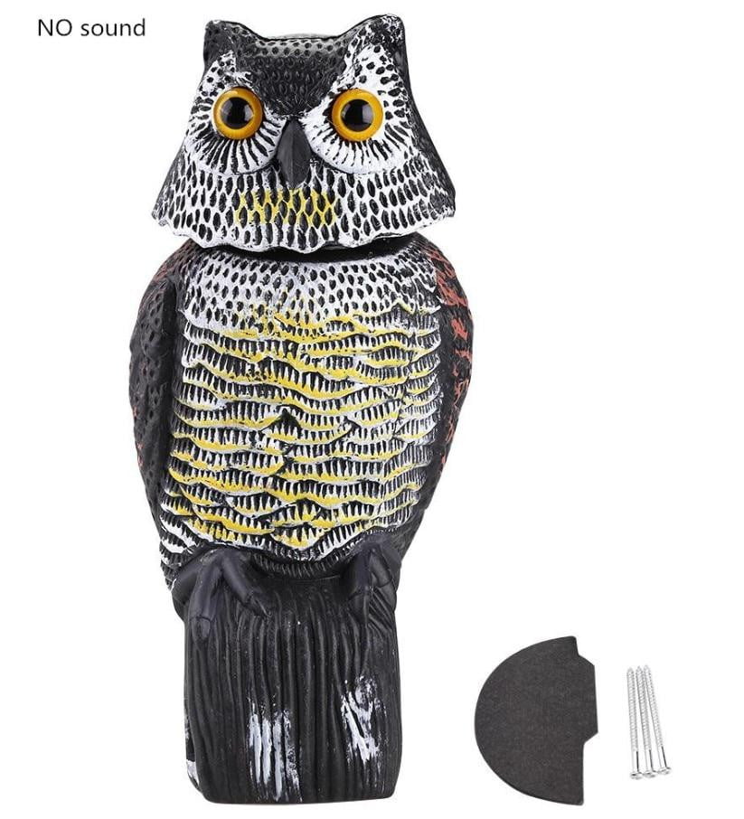 Owl Pest Control - Life Hack Stock