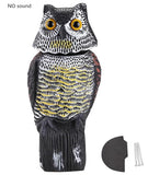 Owl Pest Control - Life Hack Stock