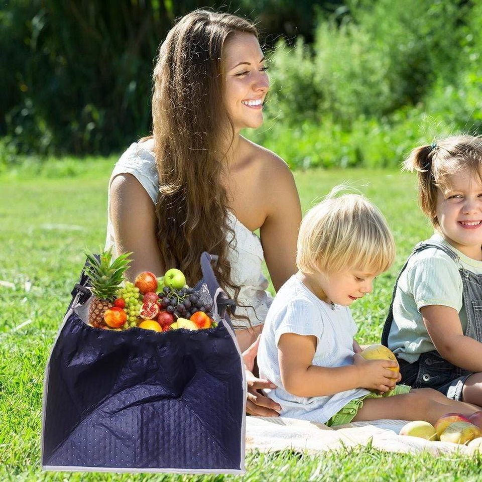 Portable Thermal Storage Bag Collapsible Eco Shopping Bag Outdoor Picnic Breast Milk Cooler Bag Foldable Thermal Insulated Tote - Life Hack Stock