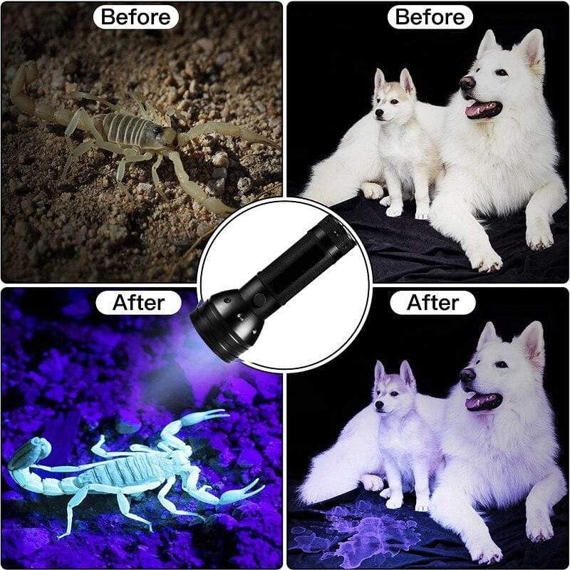 ZK20 Dropshipping UV Flashlight 51Leds 395nM Ultraviolet Blacklight Detector for Urine Pet Stain Handheld Torch Scorpion Hunting - Life Hack Stock